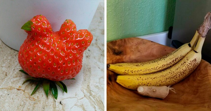 20-times-people-experienced-pareidolia-in-fruits-and-vegetables-earth-wonders